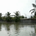 Picture2 November 2023